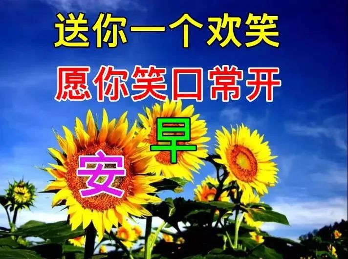 微信早上好漂亮的文字祝福图片暖心早上好图片带字带问候语