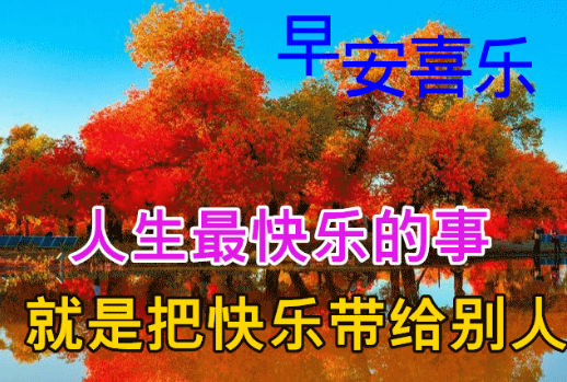 金菊飘香话思念,惹落小雨两三点;大好时光多缠绵,愿你快乐每一天!