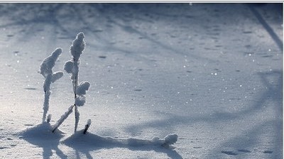 一个漂泊游子心声