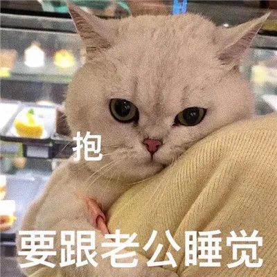 可以亲亲一下吗卖萌表情