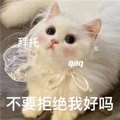 可以亲亲一下吗卖萌表情