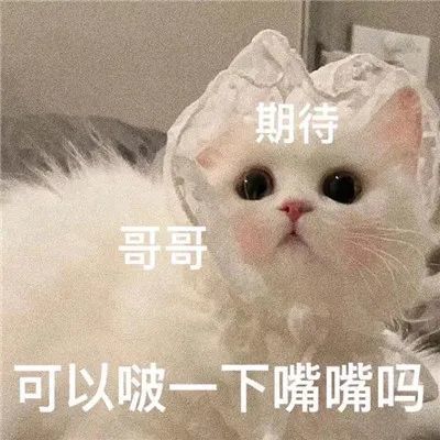 可以亲亲一下吗卖萌表情