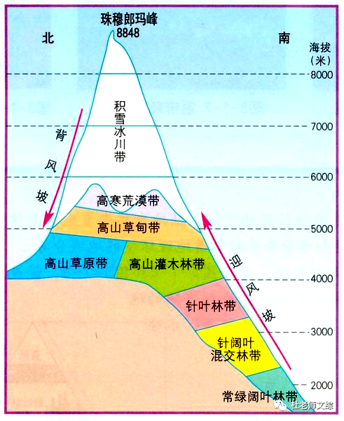 (1)从山麓到山顶的热量差异很大山下百花山上雪1,垂直地域分异规律的