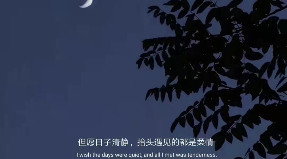 公主深夜emo文案