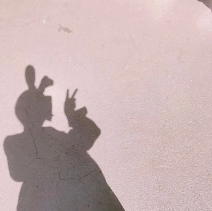 超级有氛围感的影子系列干净背景图
