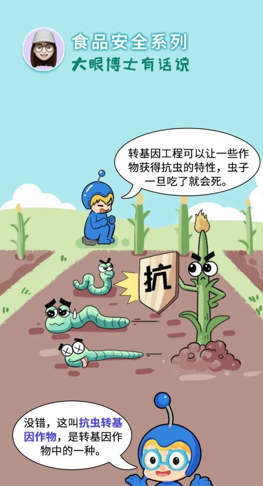 科有趣|让虫子致死的抗虫转基因作物,人吃了真的没事吗?