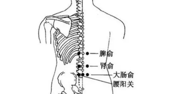 [处方] 肾俞,大肠俞,秩边,环跳,承扶,殷门,委中,阳陵泉