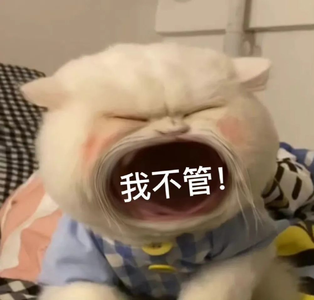 表情包丨老娘真可爱嘤嘤嘤嘤