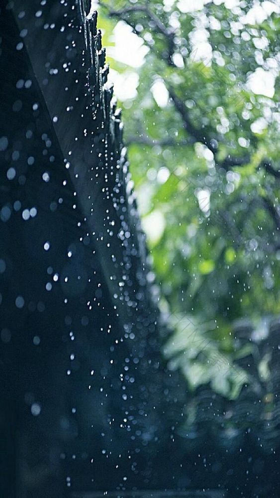 唯美朦胧雨景壁纸