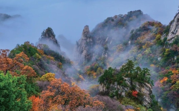 洛阳木札岭景区今起闭园:即将进入森林防火紧要期