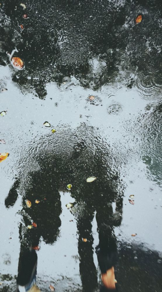 唯美朦胧雨景壁纸