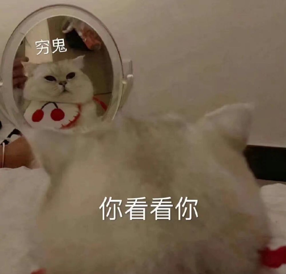 过完双十一后的你(穷鬼)表情包