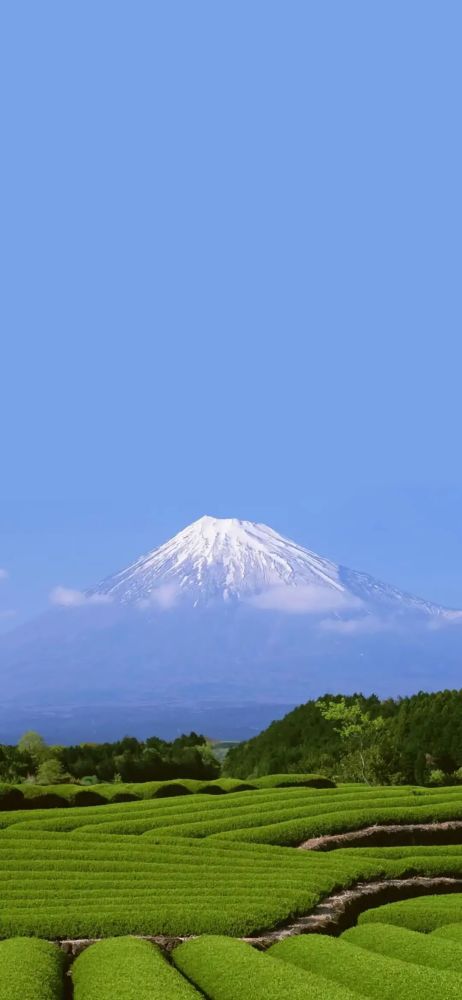 壁纸富士山壁纸