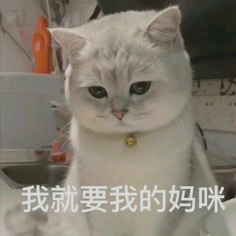 一组妈宝表情包