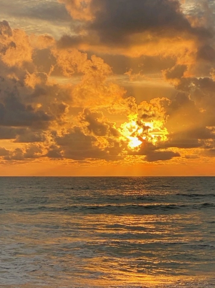 壁纸面朝大海春暖花开