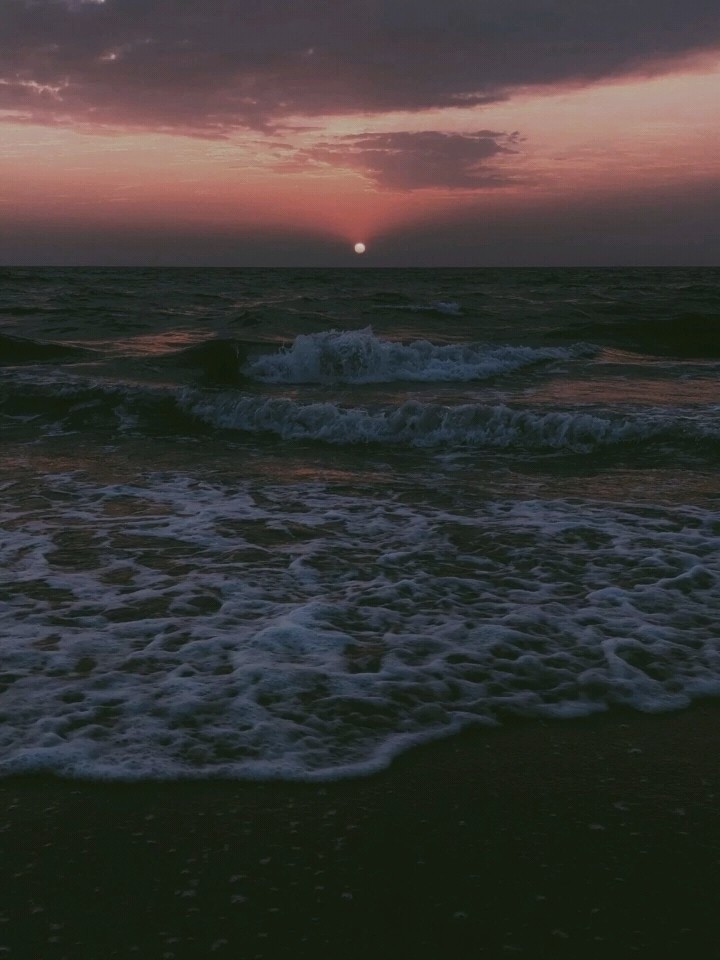 壁纸面朝大海春暖花开