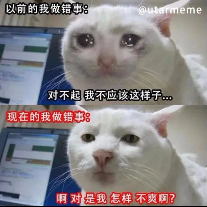 表情包老子撕烂你的嘴