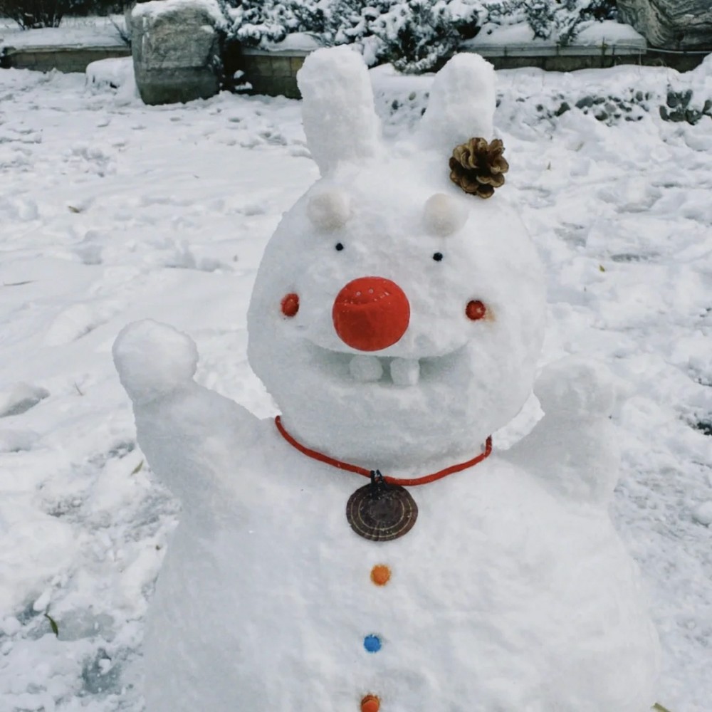 雪人头像表情包雪人也要卷起来