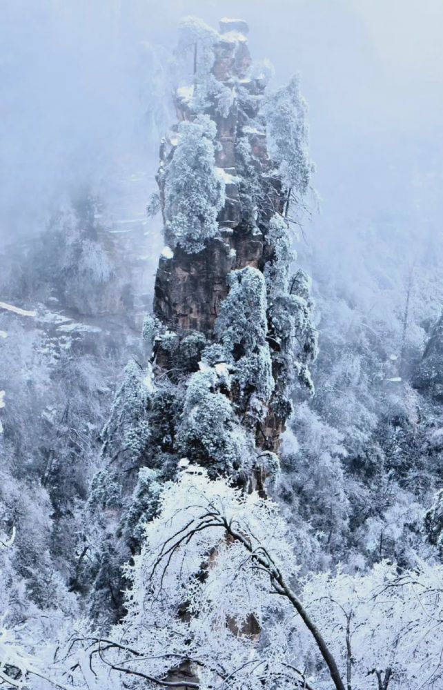 张家界 雪景
