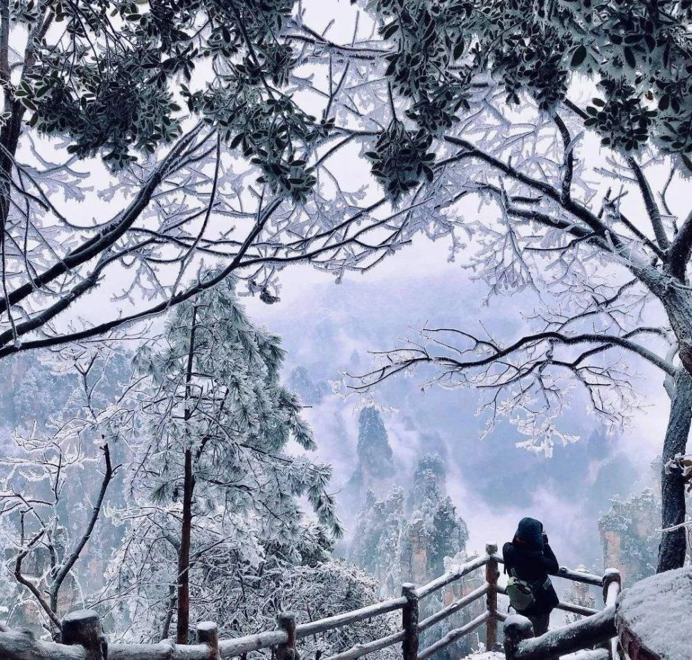 张家界 雪景