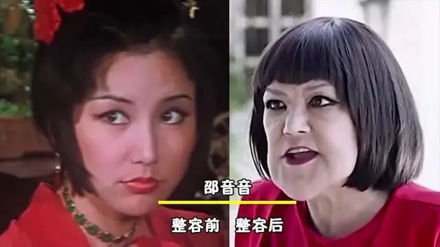 脸",饰演了吴耀权执导的监狱片《我在监狱的日子》,邵音音在剧中饰演