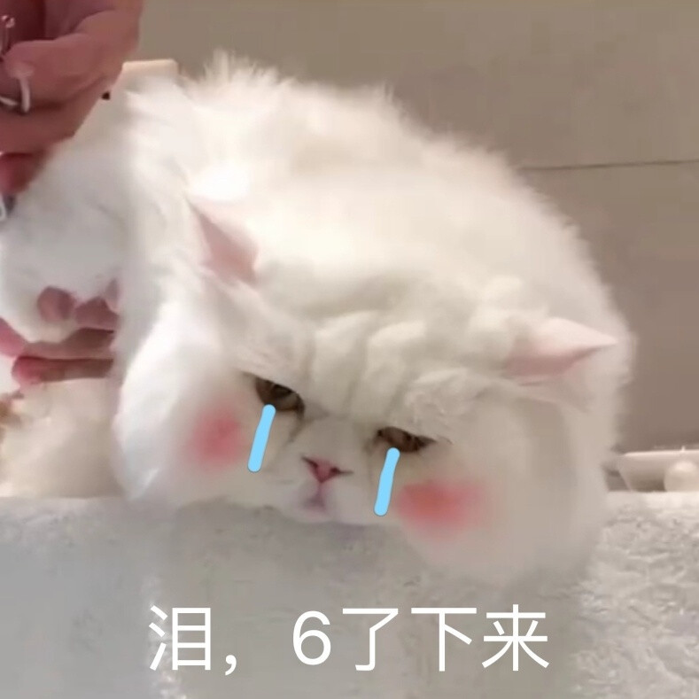 会让特别关心瞬间心软的超委屈表情包