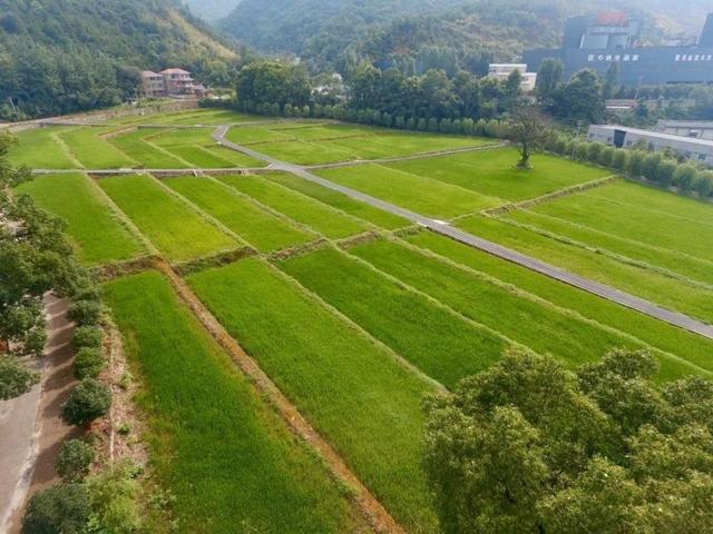 灵洞乡洞源村全域土地综合整治与生态修复工程被评为省级精品工程