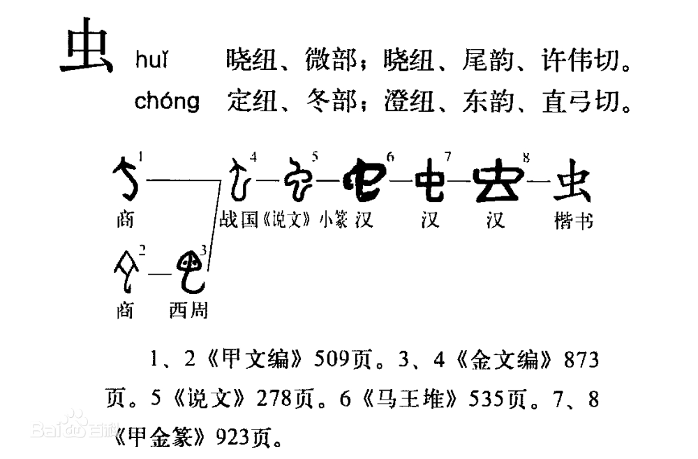 虫的字形演变《说文解字》:虫,一名蝮,博三寸,首大如擘(bò)指.