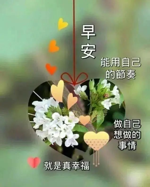 朋友圈问候大家早上好暖心祝福句子,最新版早上好漂亮