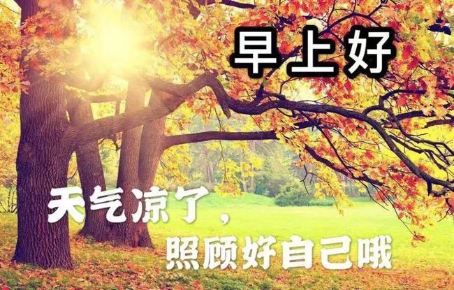 深深祝福未曾停,加件衣裳可防寒,阅读短信心也甜,常常锻炼身体健,时时