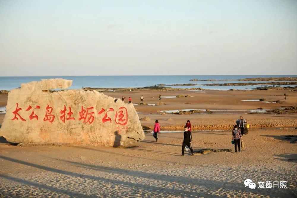 在太公岛牡蛎公园 不少当地渔民和赶海爱好者 趁着落潮赶海"淘宝"