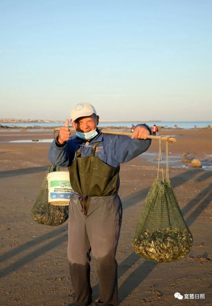 日照赶海人淘宝!绘就一幅幅初冬赶海画卷!