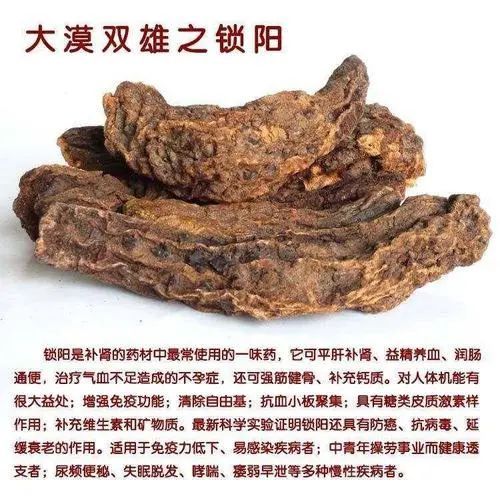 锁阳:补肾阳,益精血,润肠通便.