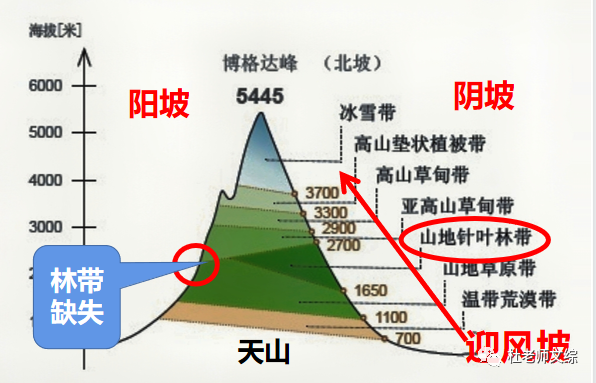 案例1:天山南坡林带缺失的原因?北坡出现山地针叶林带的原因?