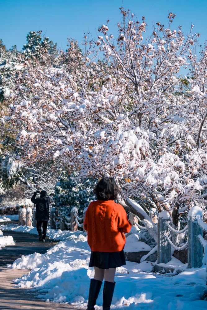 一半是深秋一半是大雪罕见的千佛山的雪景美翻了