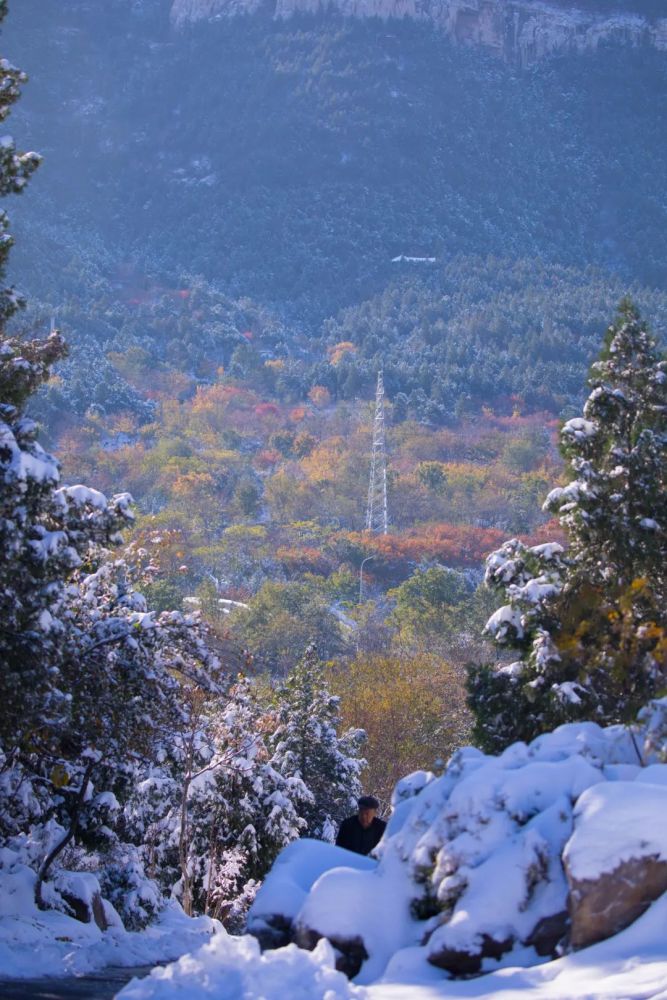 一半是深秋,一半是大雪,罕见的千佛山的雪景美翻了