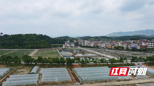 新田县枧头镇云溪欧家村,通过党建引领,大力改善基础设施,实现了从