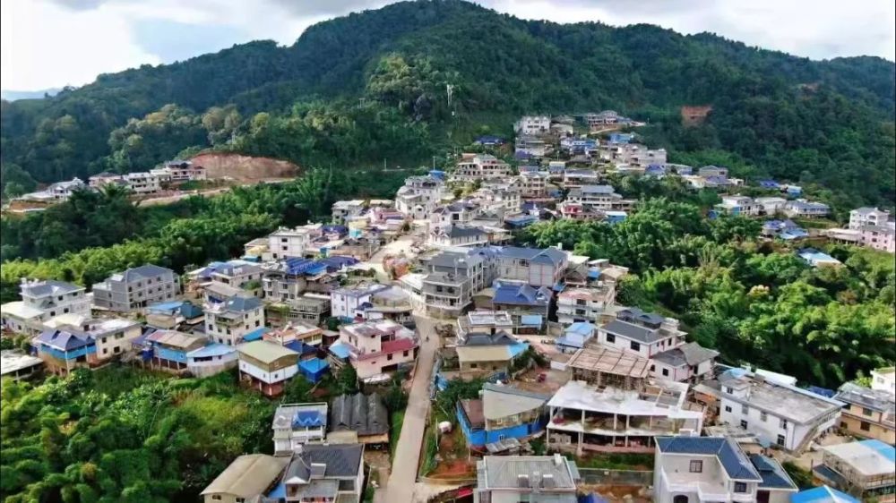 班章村样板是勐海建设普洱茶现代产业示范县,促进高质量发