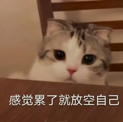 感觉累了就放空自己大家冷静一下听我说只吃一口不会胖的啊!