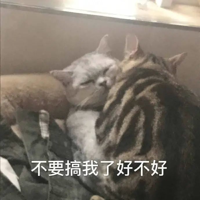 表情包精选闻我的脚