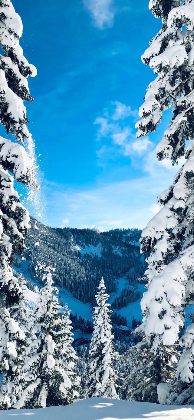 唯美手机壁纸雪景