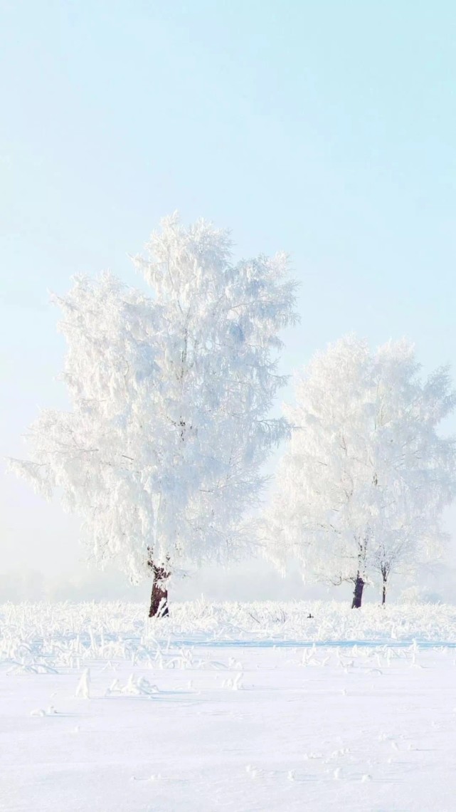 唯美手机壁纸雪景