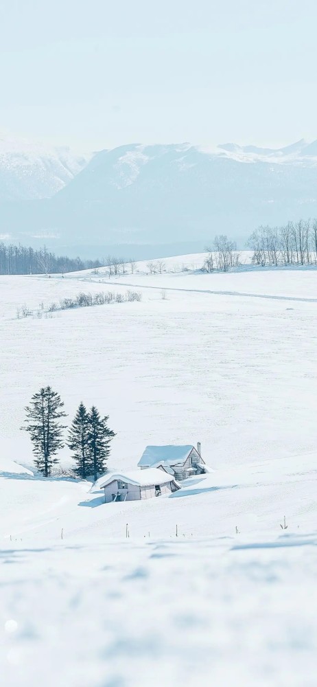 唯美手机壁纸雪景