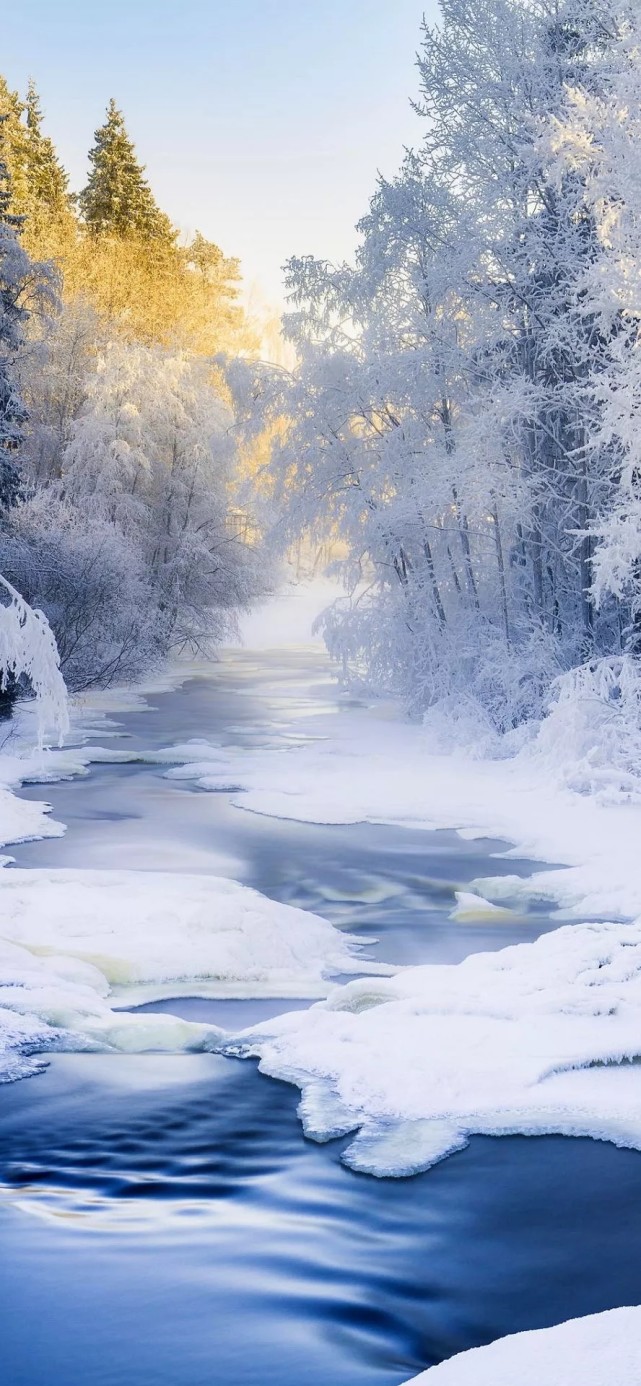 唯美手机壁纸雪景