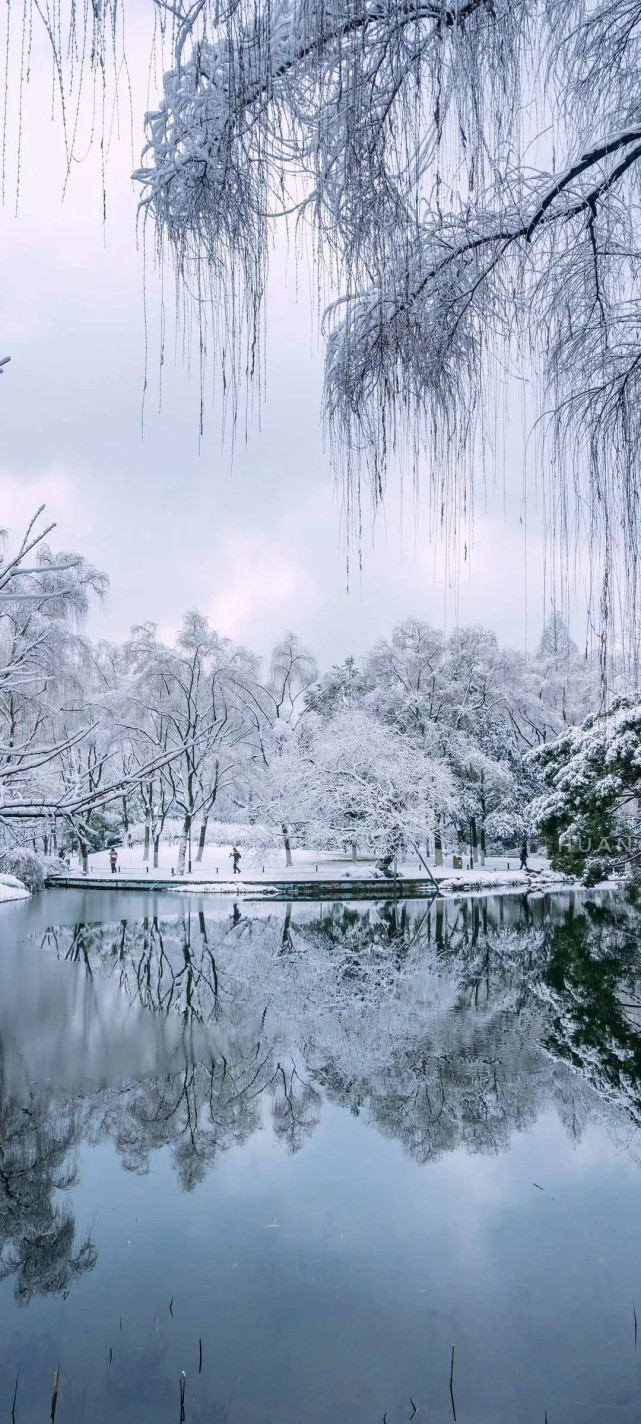 唯美手机壁纸雪景