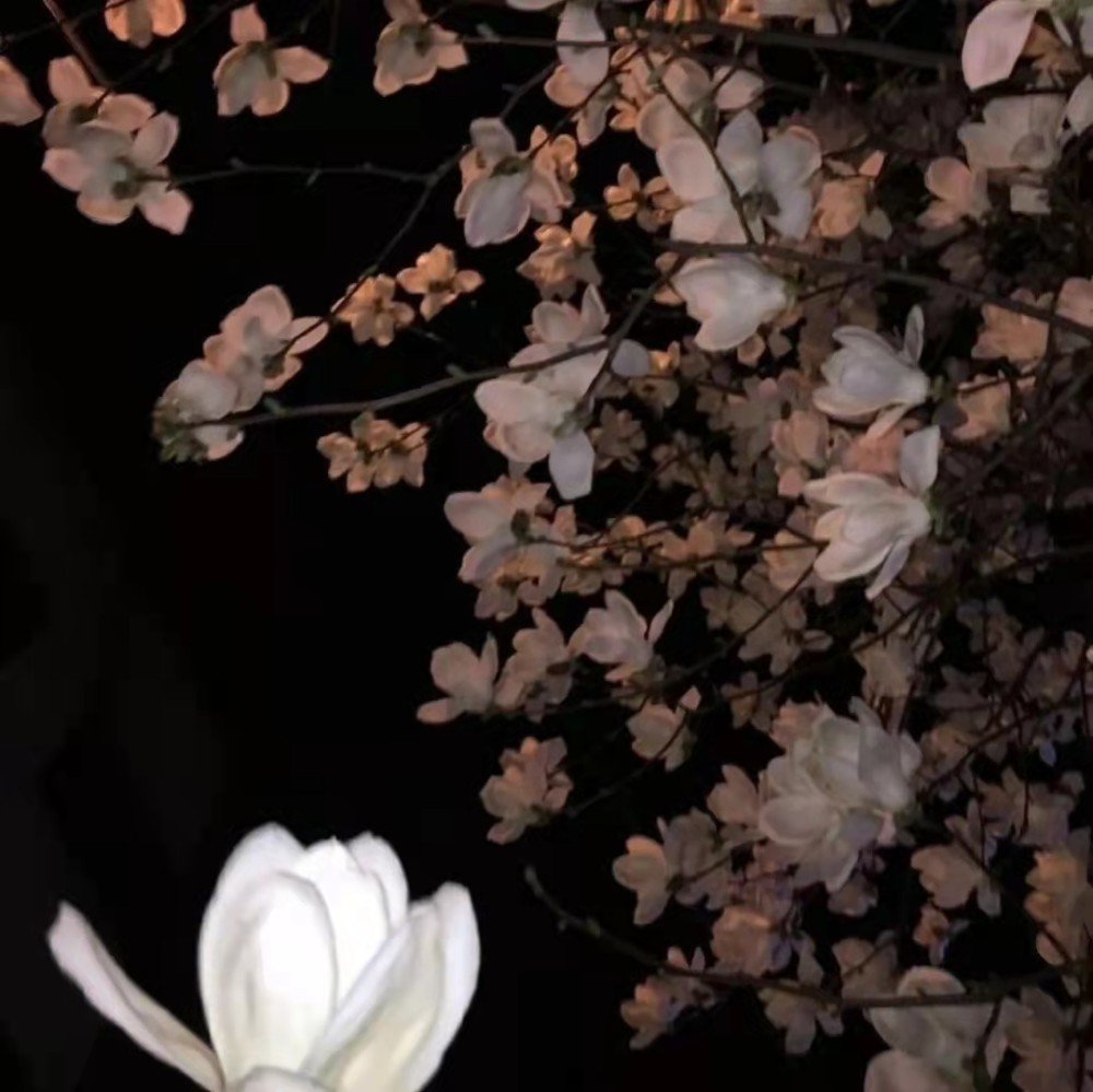 情绪失控的伤感文案