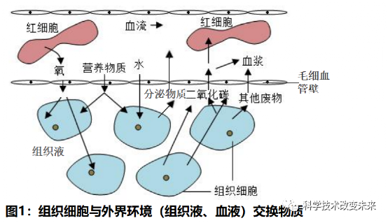 氧气,二氧化碳,葡萄糖,氨基酸,na ,k 等)体积很小,进出细胞可以通过