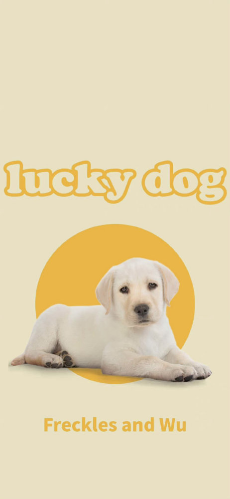 lucky dog 修勾壁纸太爱了