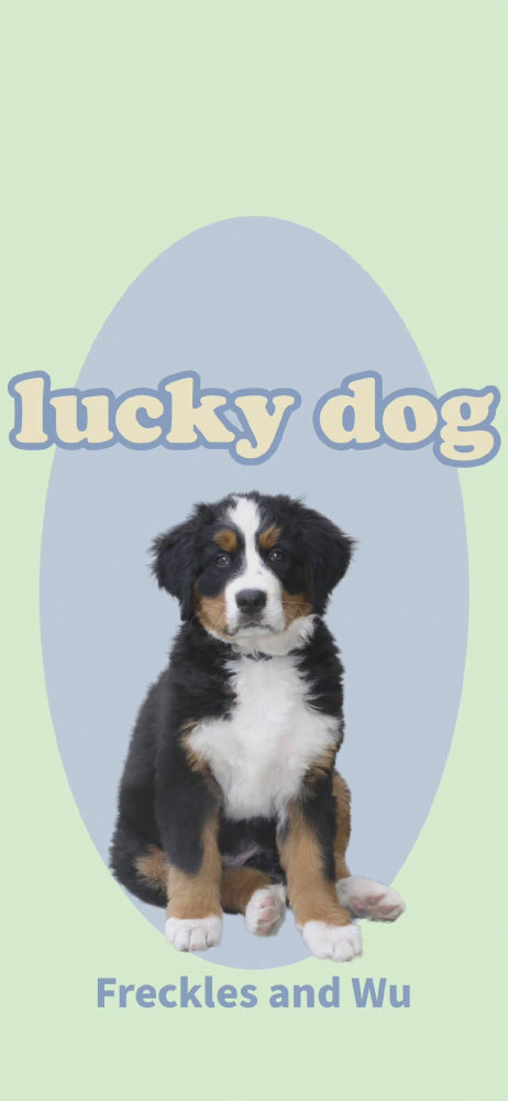 lucky dog 修勾壁纸太爱了