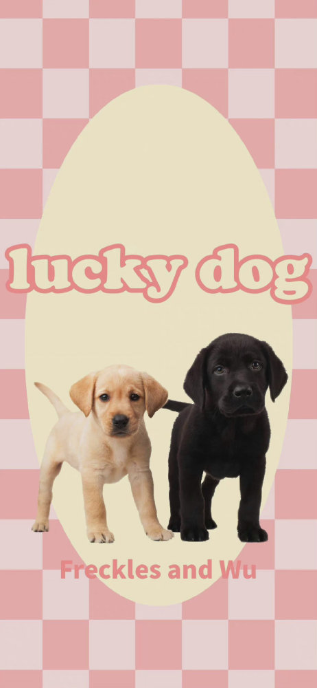 lucky dog 修勾壁纸太爱了